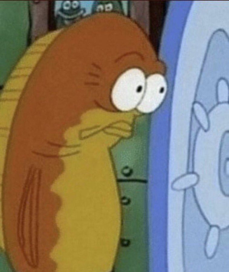 spongebob orange fish at front door big eyes shocked look you sure