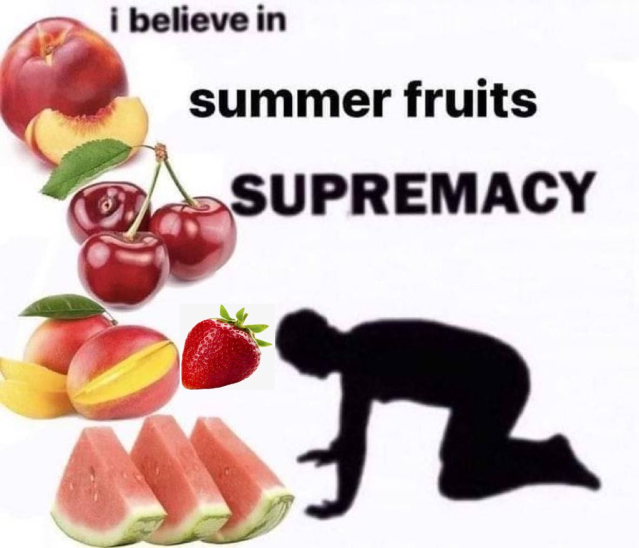 i believe in summer fruits SUPREMACY R