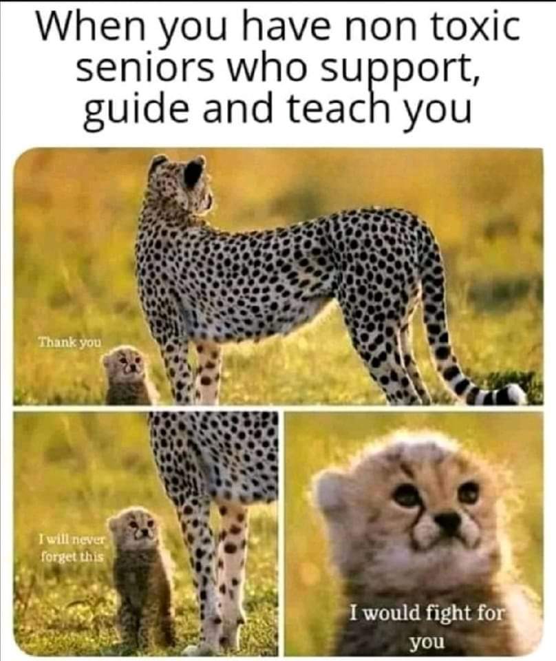 When you have non toxic seniors who support, guide and teach you Thank you I will never forget this I would fight for you