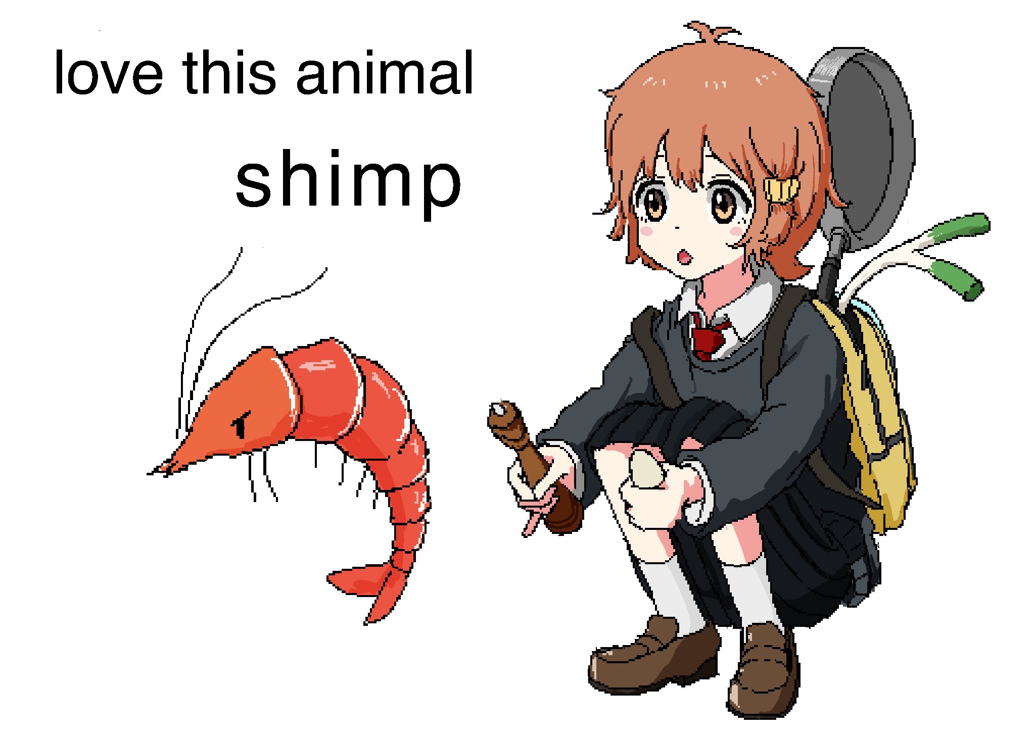 love this animal shimp