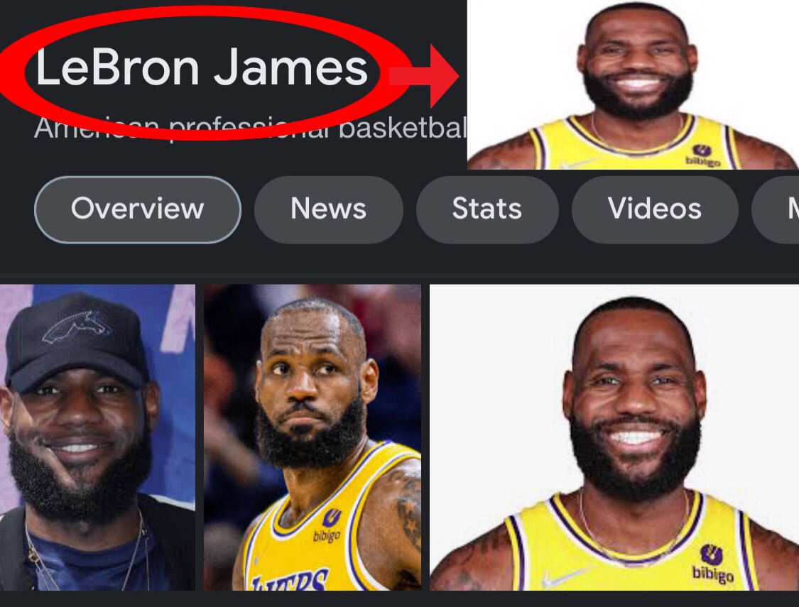 lebron-james-lookalikes-meme-name-soundalikes-know-your-meme