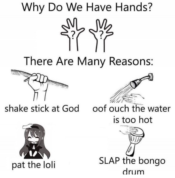 Why Do We Have Hands There Are Many Reasons Image Gallery Know Your Why Do We Have Hands There Are Many Reasons Image Gallery Know Your