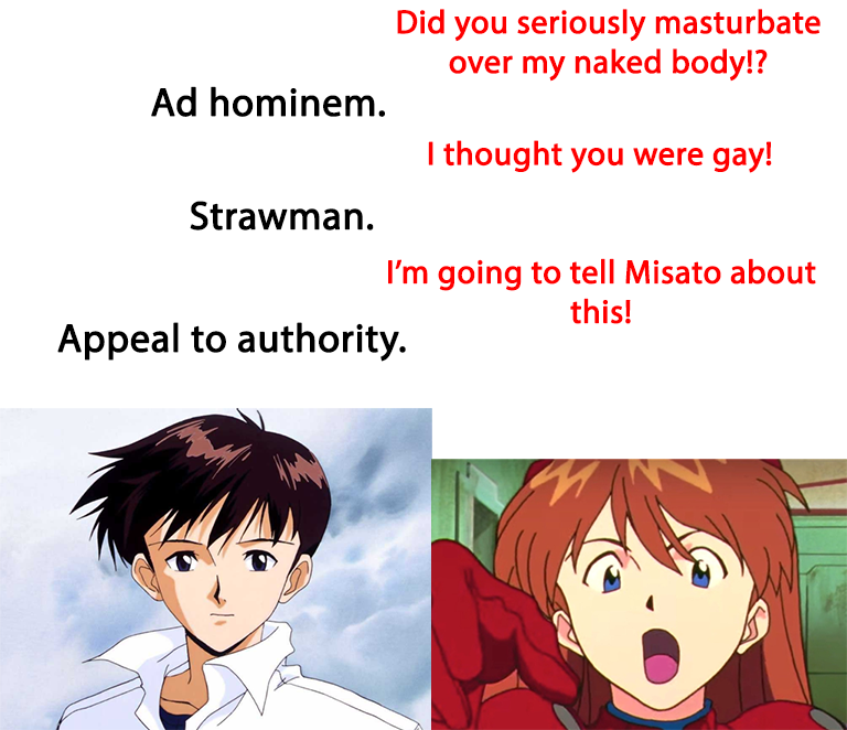 Ad hominem. Strawman. Did you seriously masturbate over my naked body!? I thought you were gay! I'm going to tell Misato about this! Appeal to authority. M.