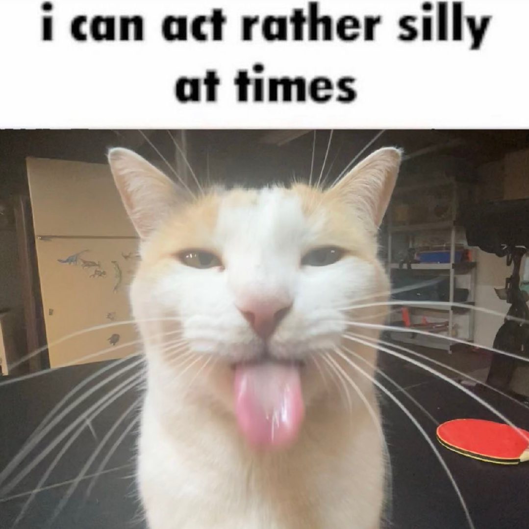  I Can Act Rather Silly At Times BLEHHHHH P Cat Know Your Meme