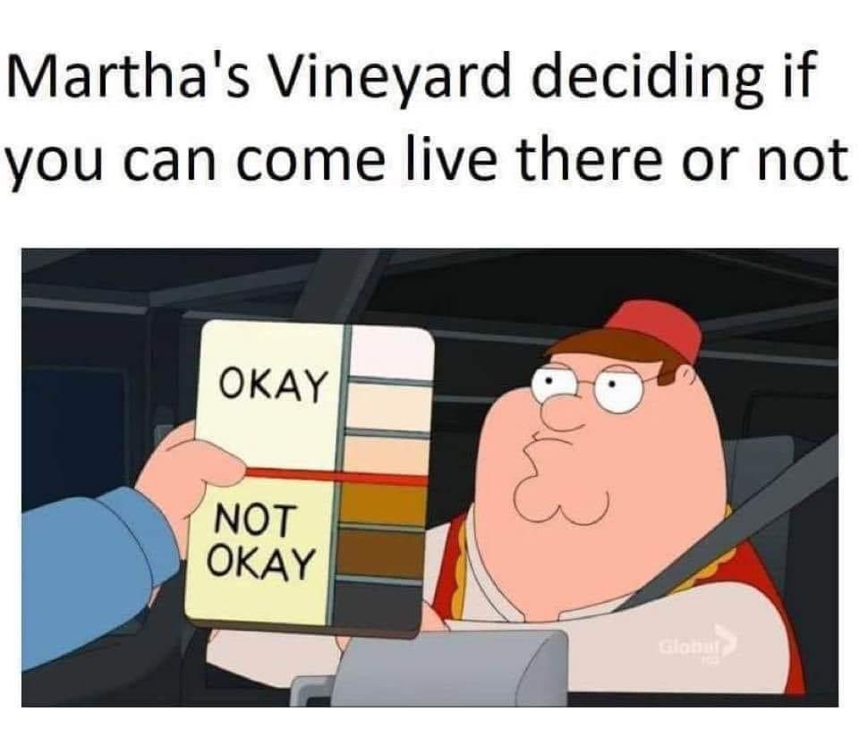 Martha's Vineyard deciding if you can come live there or not OKAY NOT OKAY 83 Global