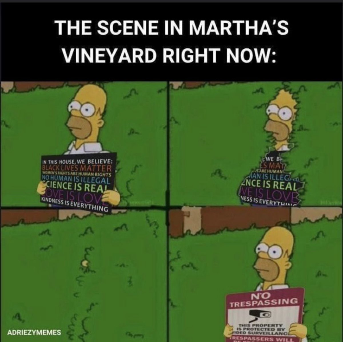 THE SCENE IN MARTHA'S VINEYARD RIGHT NOW: IN THIS HOUSE, WE BELIEVE: BLACK LIVES MATTER WOMEN'S RIGHTS ARE HUMAN RIGHTS NO HUMAN IS ILLEGAL SCIENCE IS REAL OVE IS LOVE KINDNESS IS EVERYTHING ADRIEZYMEMES 3 E M WE B ES MAT SARE HUMAN MAN IS ILLEG ENCE IS REAL NE IS LOVE NESS IS EVERYTHIN NO TRESPASSING O THIS PROPERTY IS PROTECTED BY VIDEO SURVEILLANCE RESPASSERS WILL