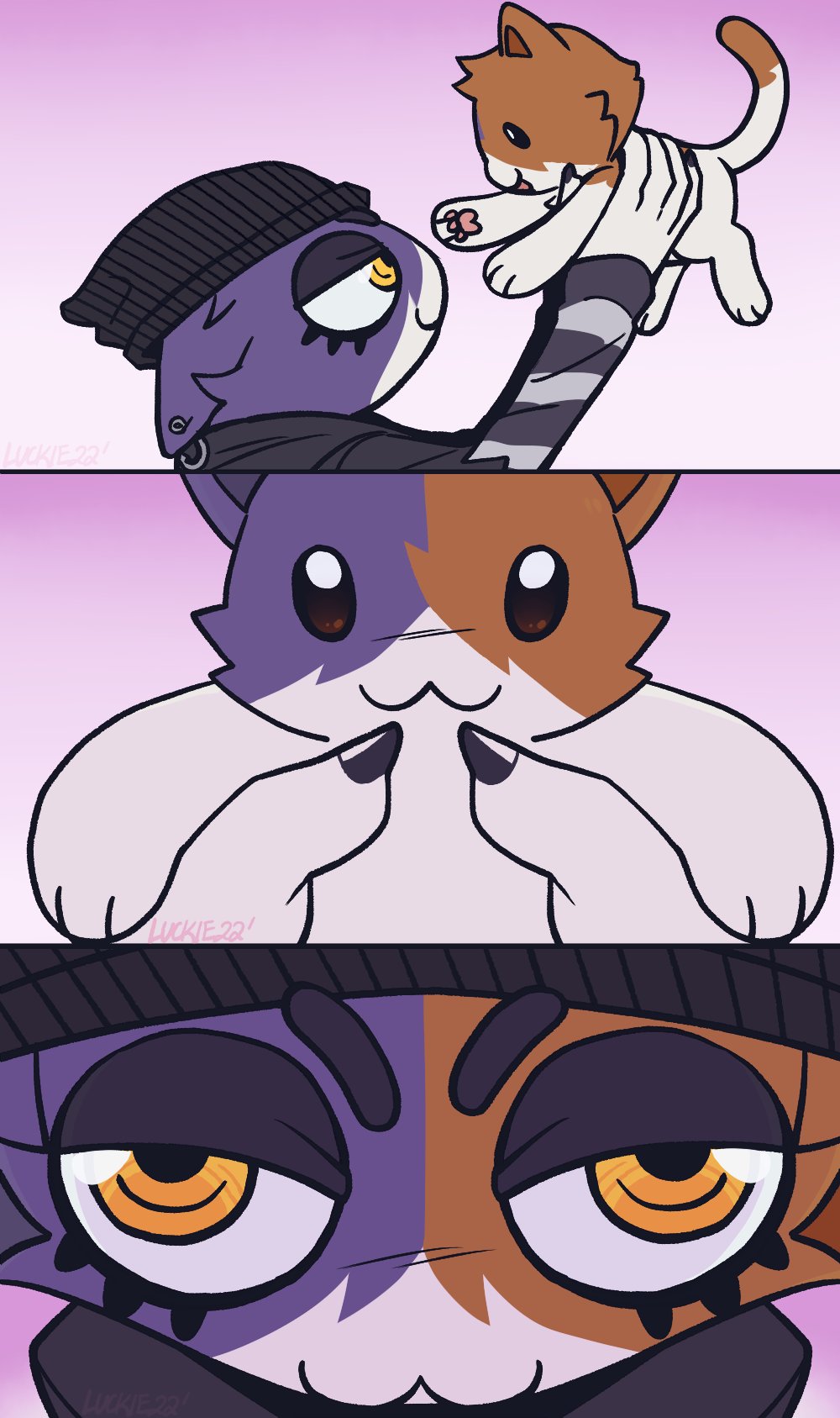 Meow skulls neco arc