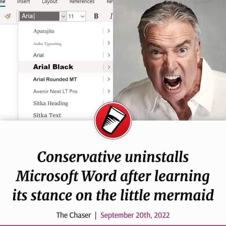 ne Insert Arial Layout Aparajita References 11 Arabic Typesetting Arial Arial Black Arial Rounded MT Avenir Next LT Pro Sitka Heading Sitka Text Re B I Conservative uninstalls Microsoft Word after learning its stance on the little mermaid The Chaser September 20th, 2022