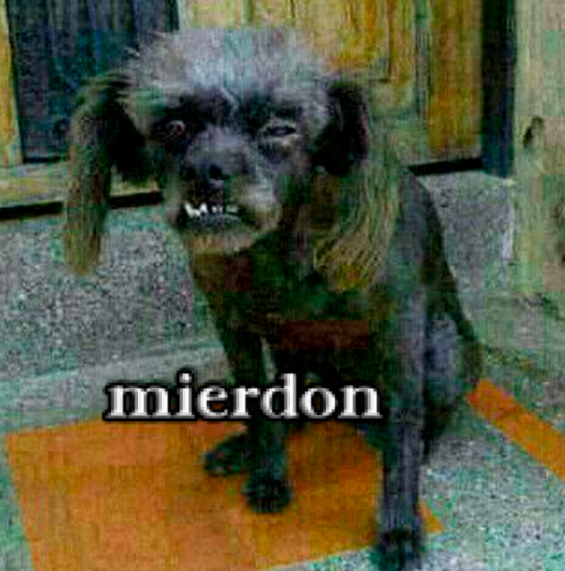 mierdon