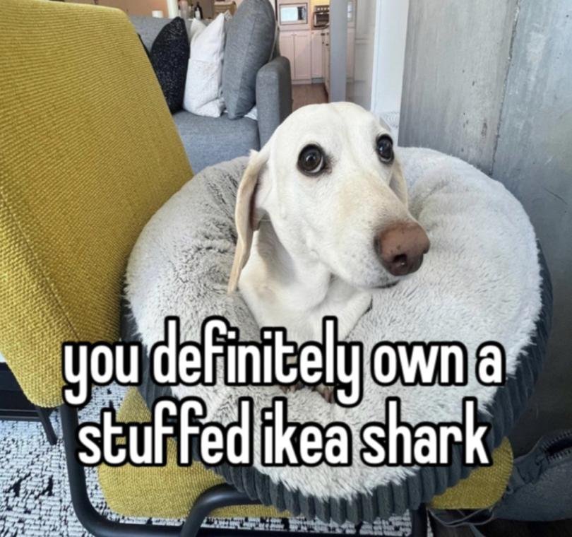 you definitely own a stuffed ikea shark