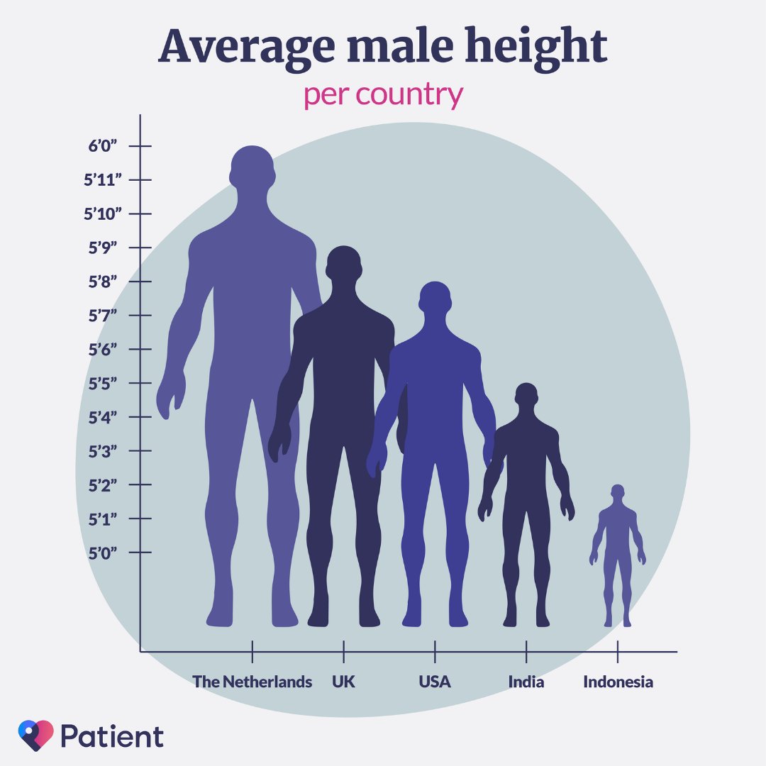 do-women-like-guys-under-6-feet-according-to-science-truly-sigma