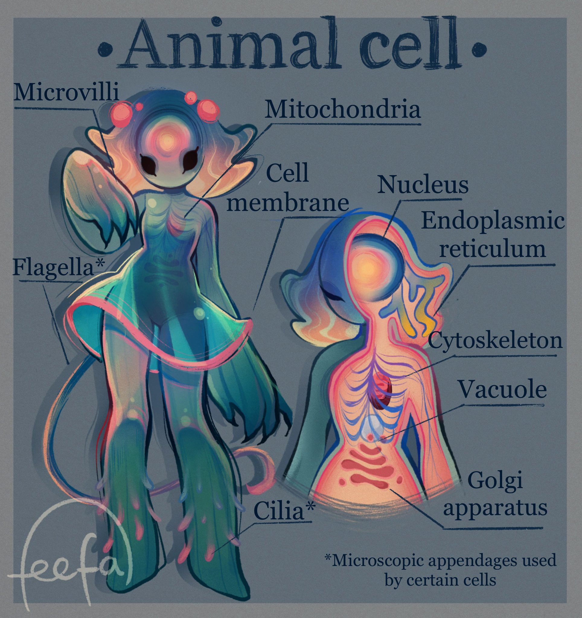 flagella in a animal cell