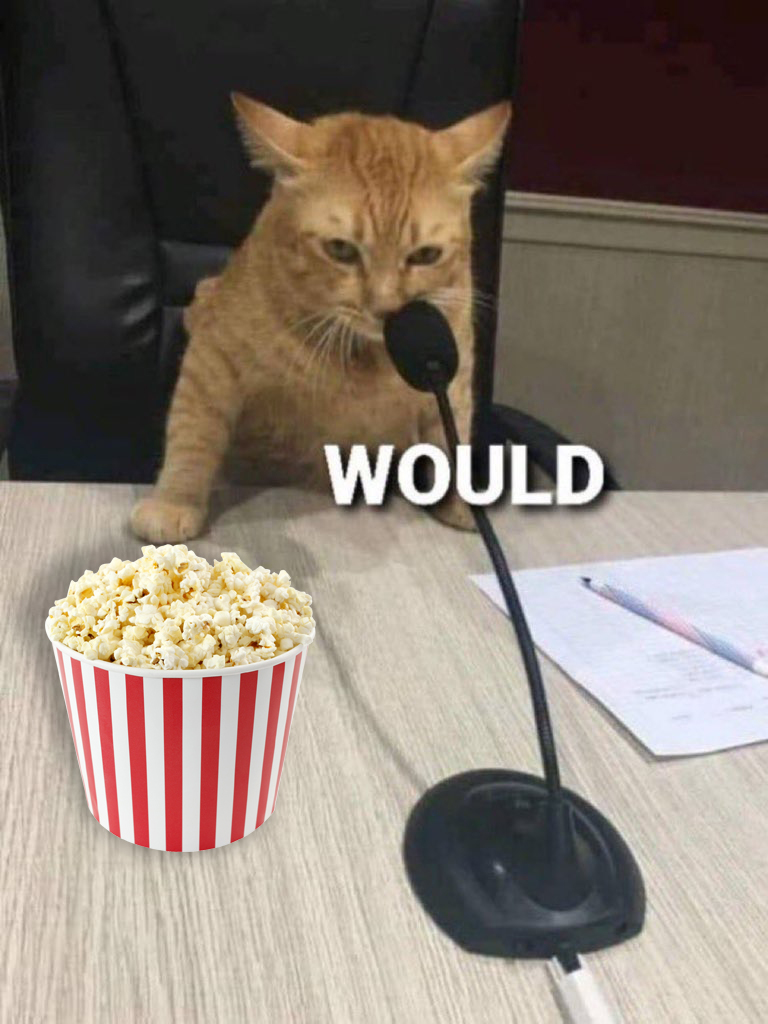 cat eating popcorn meme