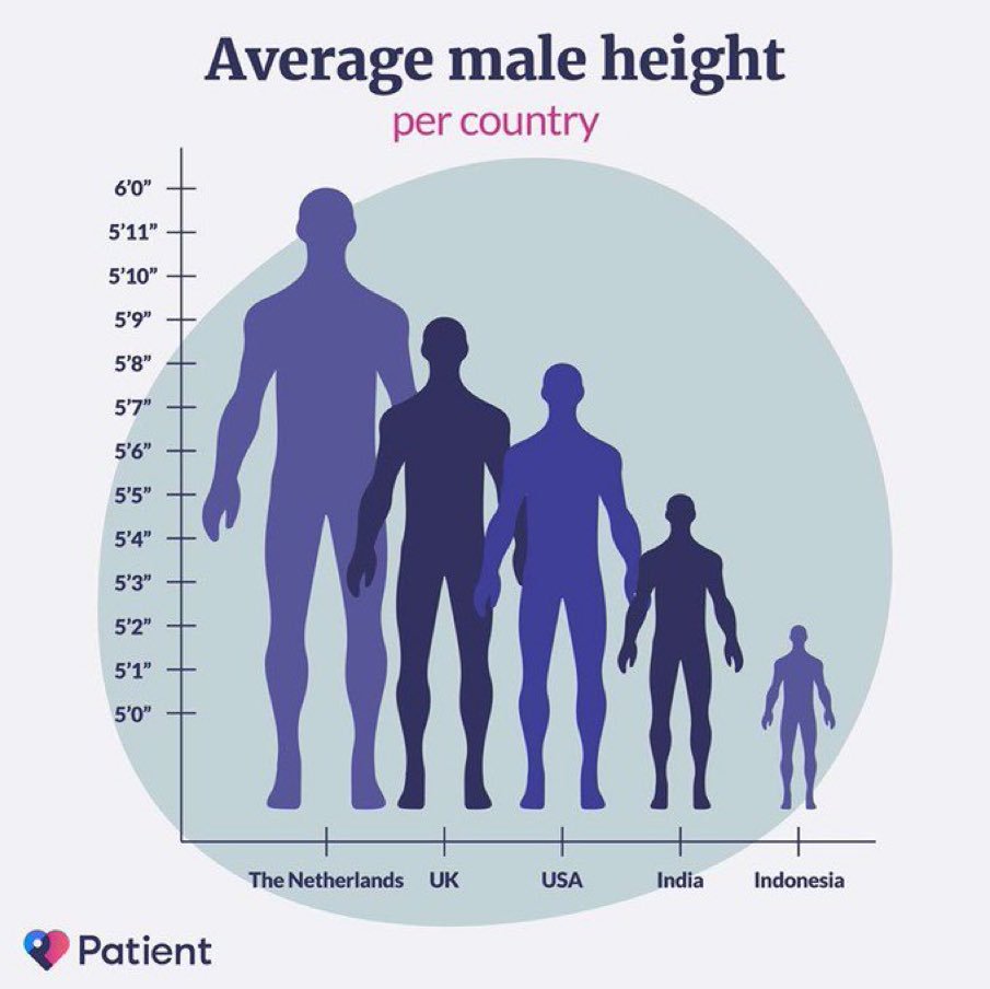 6'0" 5'11" 5'10" 5'9" 5'8" 5'7" 5'6" 5'5" 5'4" 5'3" 5'2" 5'1" 5'0" Average male height per country Patient The Netherlands UK USA India Indonesia