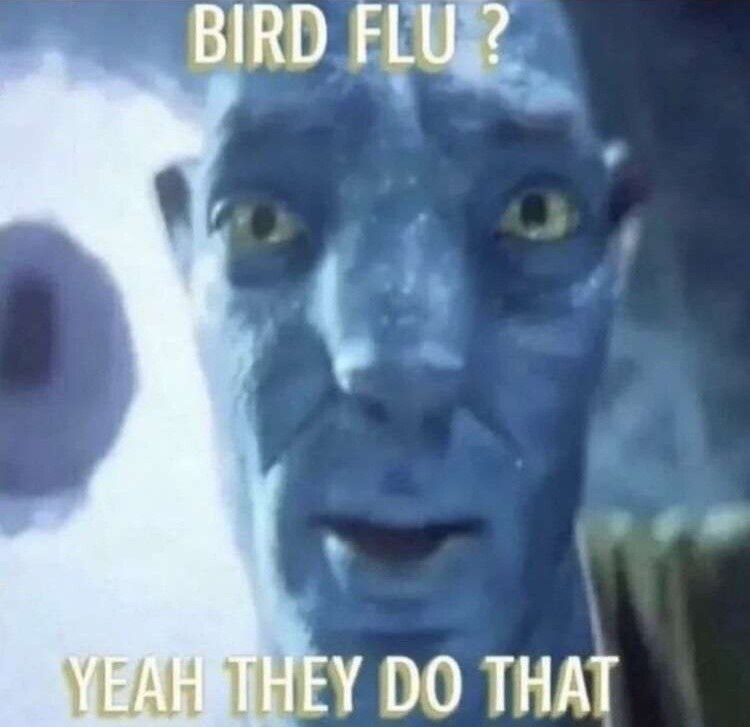 Invest In Avatar 2 r MemeEconomy Know Your Meme