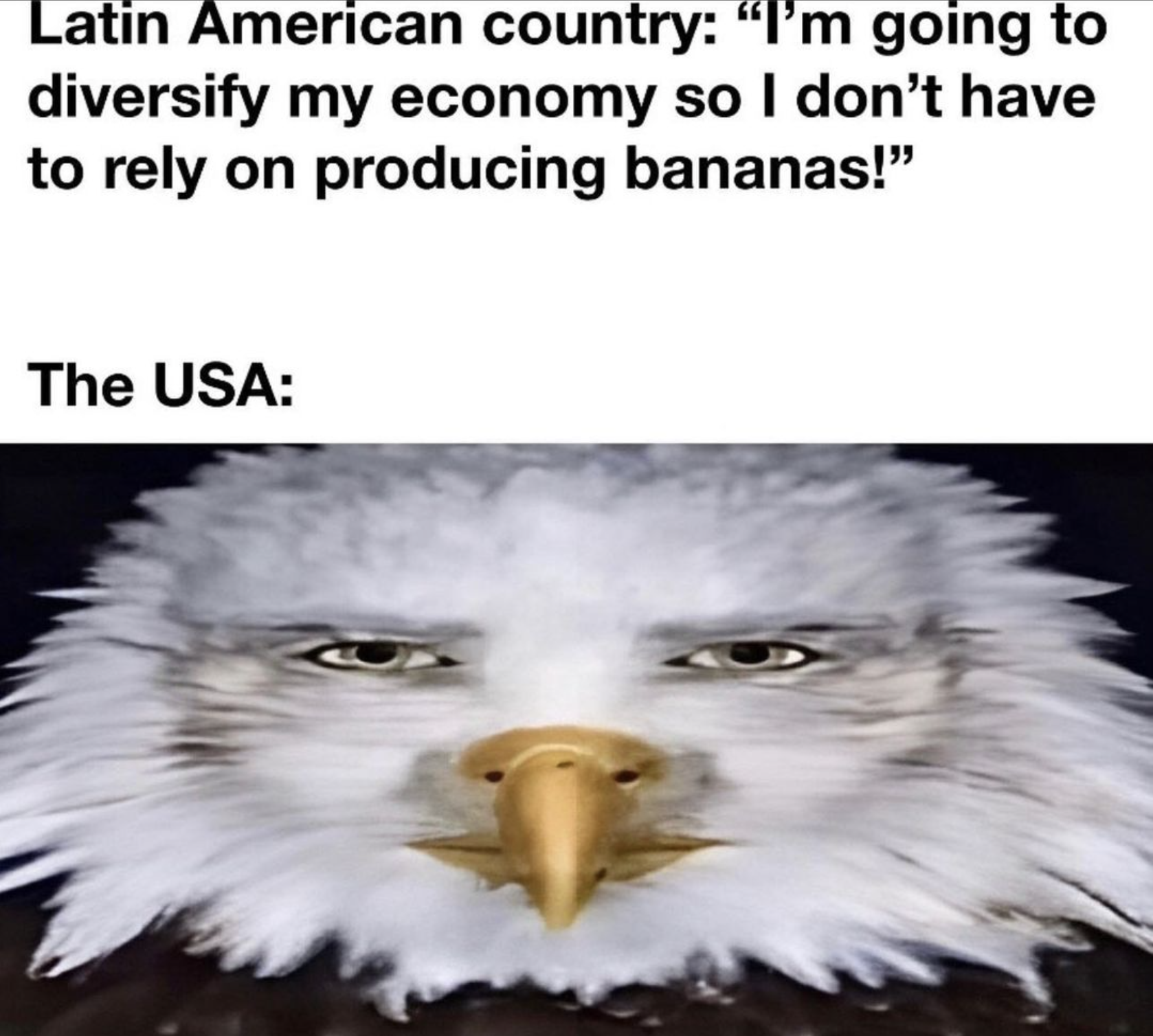 American Eagle Meme American Eagle Meme