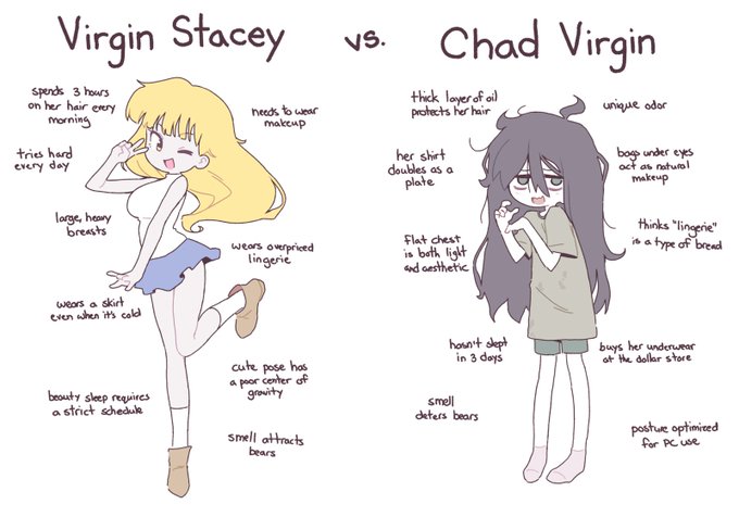 Virgin Vs Chad Meme (Roblox Puppet Version) by MissyTheNinjaGirl on  DeviantArt