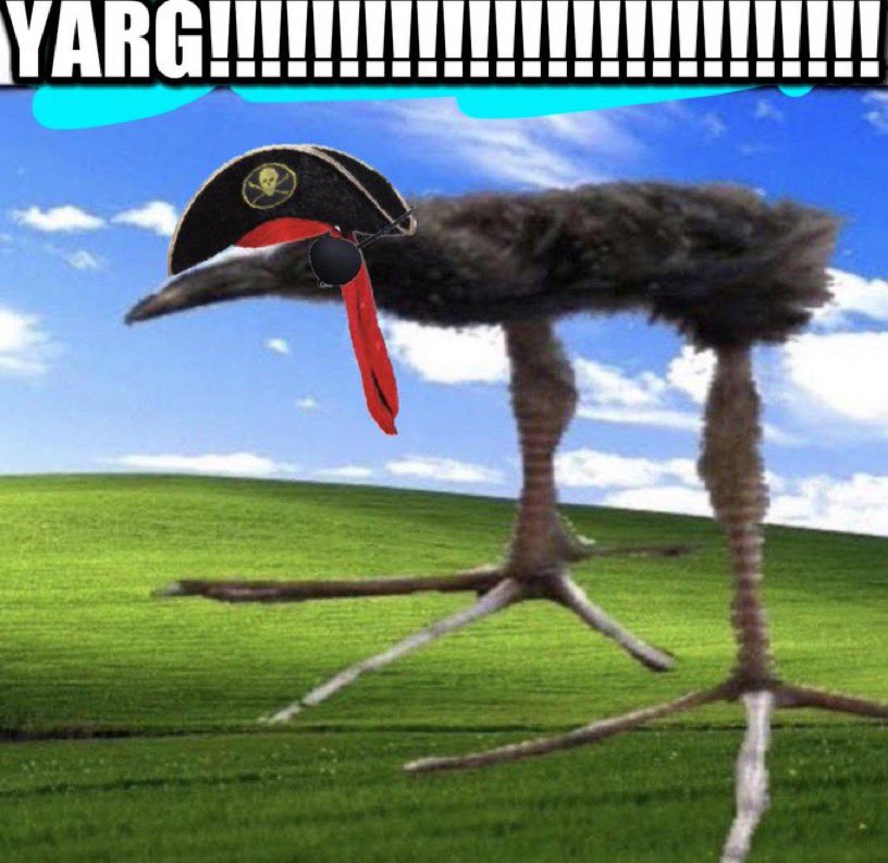 YARG!!!!!! !!!!!