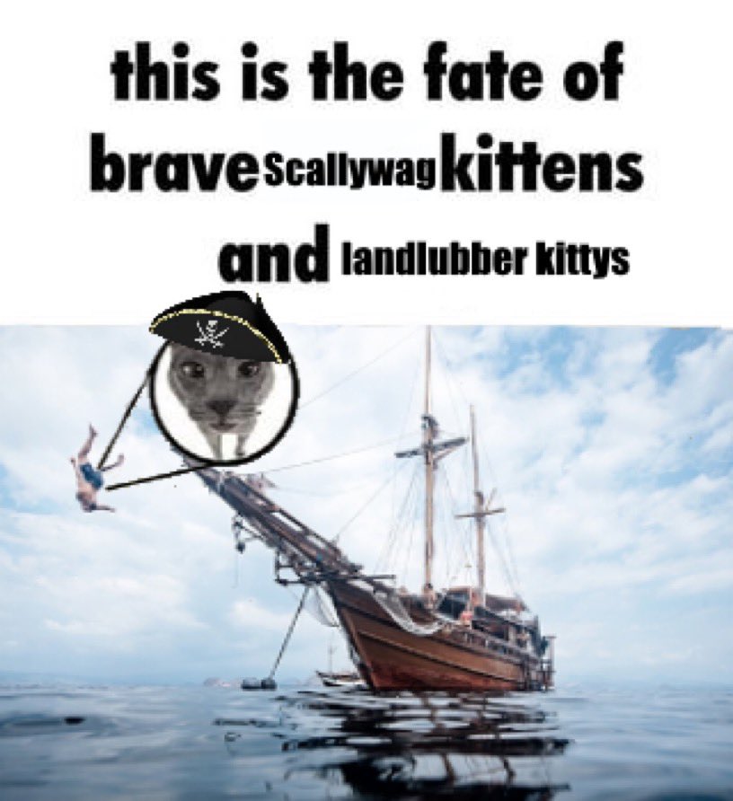 this is the fate of brave scallywag kittens and landlubber kittys