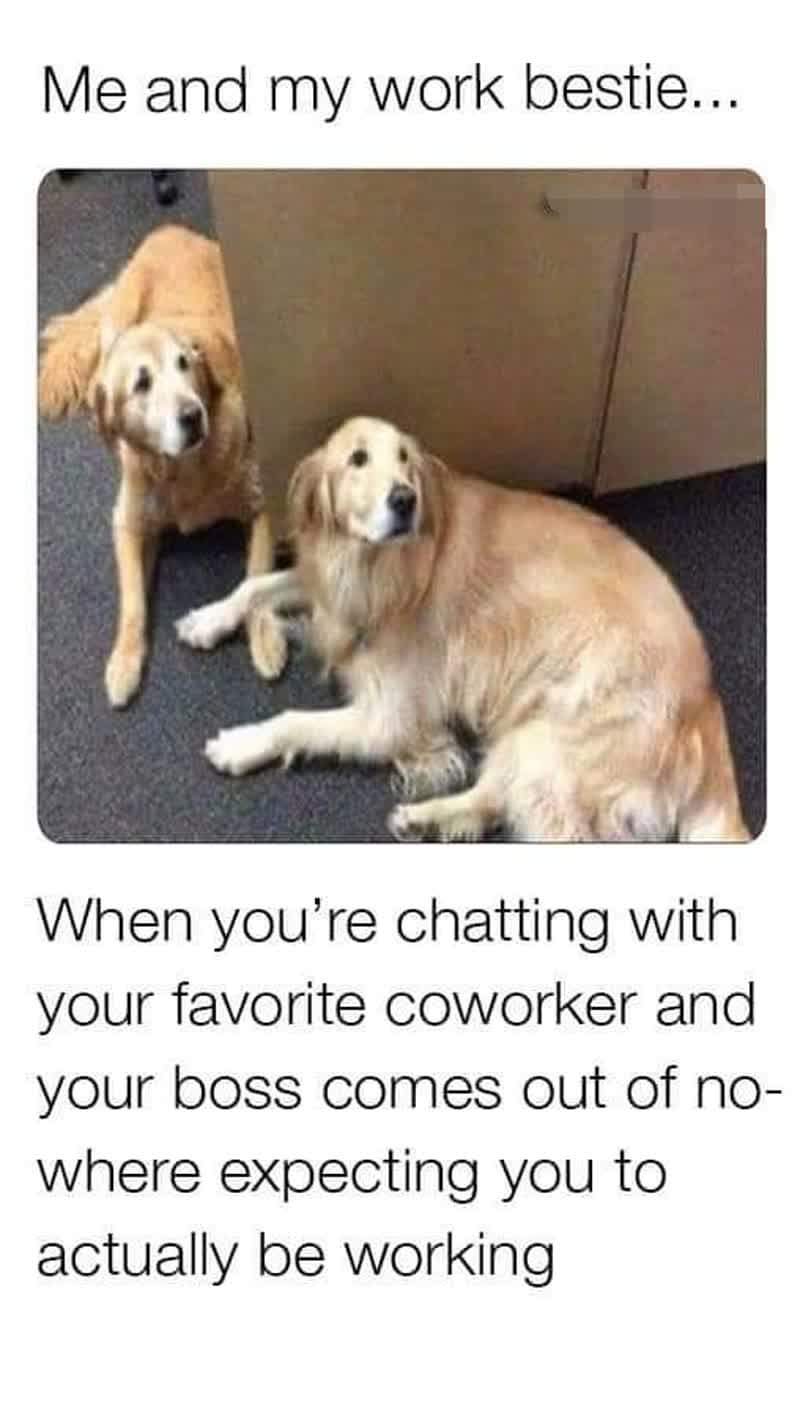Nothing To See Here r wholesomememes Wholesome Memes Know Your Meme