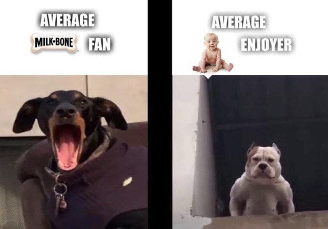 Average fan vs Average enjoyer Giga chad meme template, can you feel my  heart song, Average Fan vs. Average Enjoyer, Know Your Meme