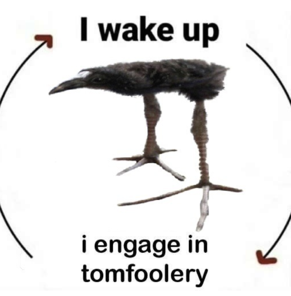 I Wake Up There Is X I Wake Up There Is X Know Your Meme