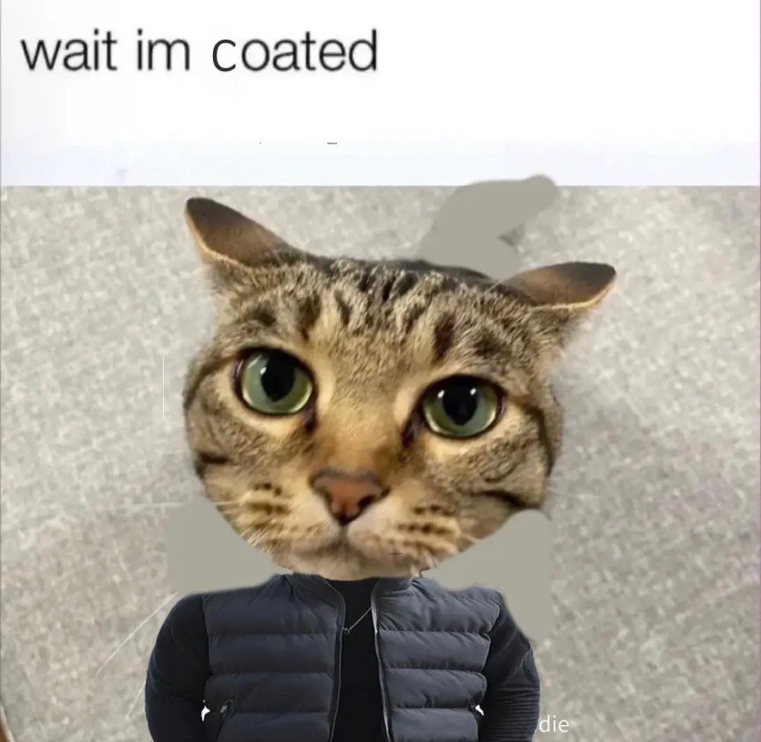 wait im coated die