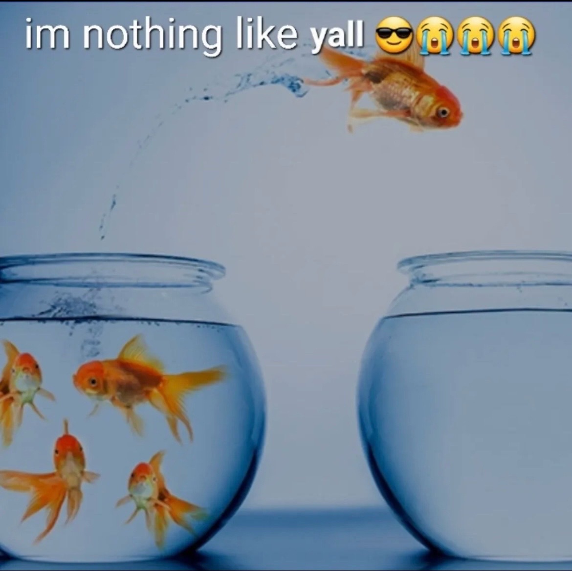 Im Nothing Like Yall Meme I m Nothing Like Y all Know Your Meme Im Nothing Like Yall Meme I m Nothing Like Y all Know Your Meme