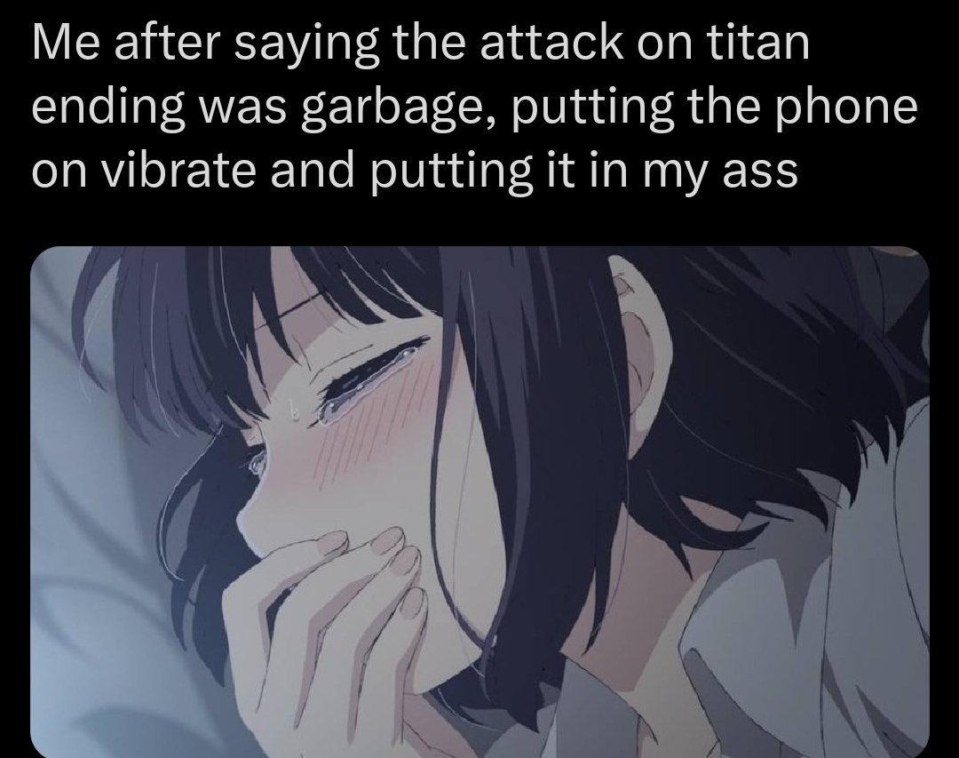 Me after saying the attack on titan ending was garbage, putting the phone on vibrate and putting it in my ass