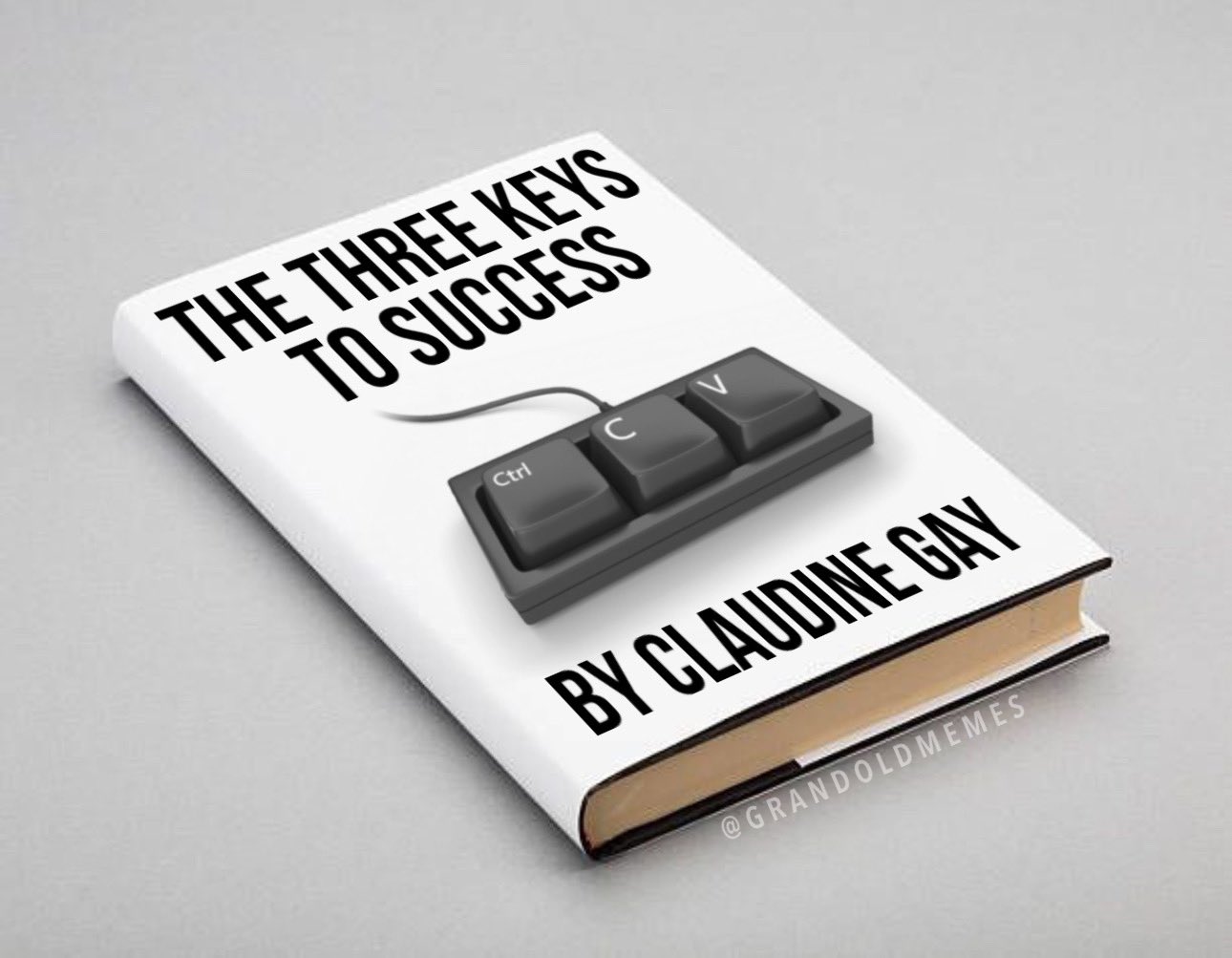 The Three Keys to Success by Claudine Gay (Copy Paste Ctrl C V ...