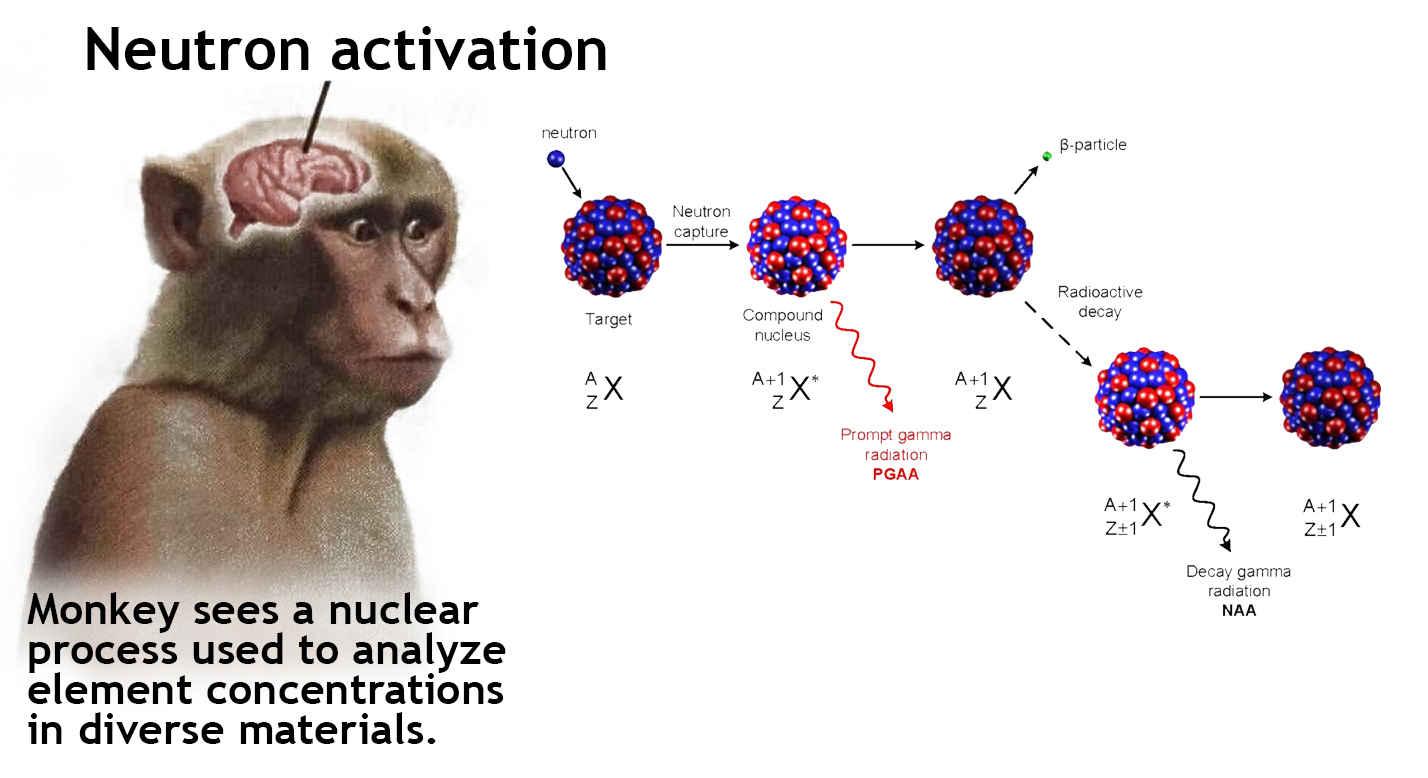 Neuron Activation Image Gallery List View List View Know Your Meme Neuron Activation Image Gallery List View List View Know Your Meme