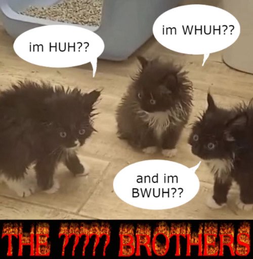 im HUH?? im WHUH?? and im BWUH?? THE 77777 BROTHERS