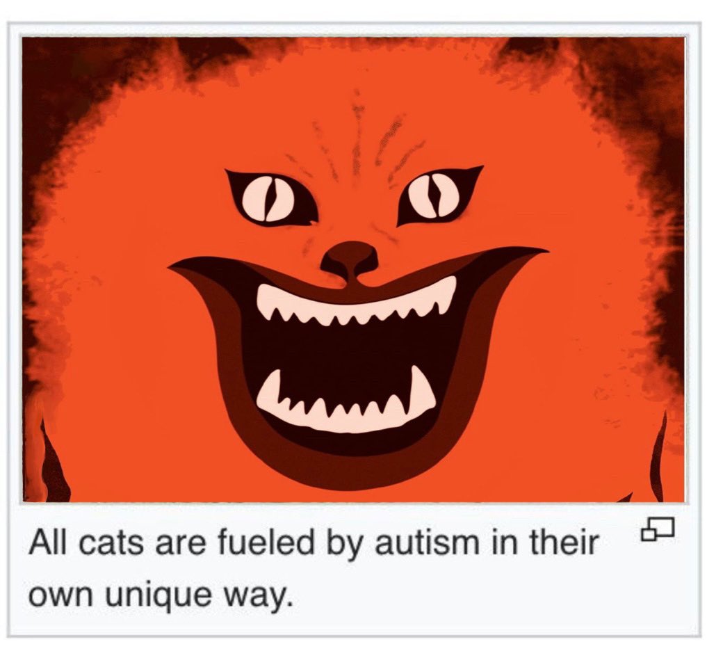 All cats are fueled by autism in their own unique way.