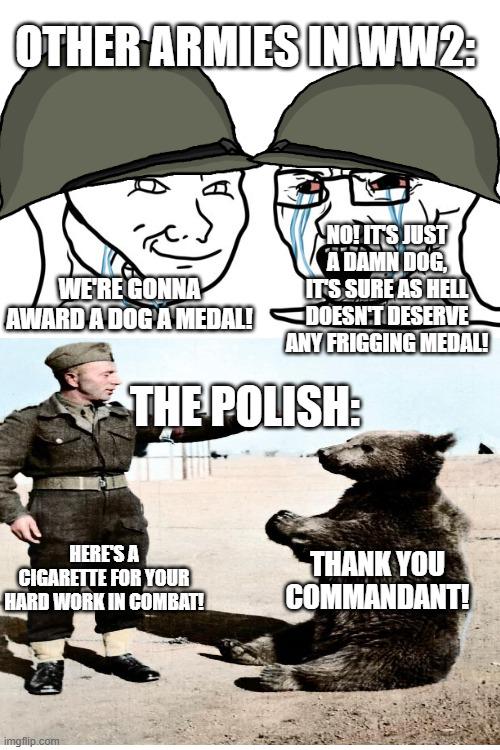 OTHER ARMIES IN WW2: WE'RE GONNA AWARD A DOG A MEDAL! HERE'S A C-------- FOR YOUR HARD WORK IN COMBAT! imgflip.com NO! IT'S JUST A DAMN DOG, IT'S SURE AS HELL DOESN'T DESERVE ANY FRIGGING MEDAL! THE POLISH: THANK YOU COMMANDANT!