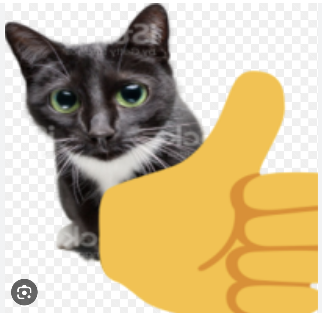 Thumbs Up Cat Meme Thumbs Up Cat Know Your Meme Thumbs Up Cat Meme Thumbs Up Cat Know Your Meme