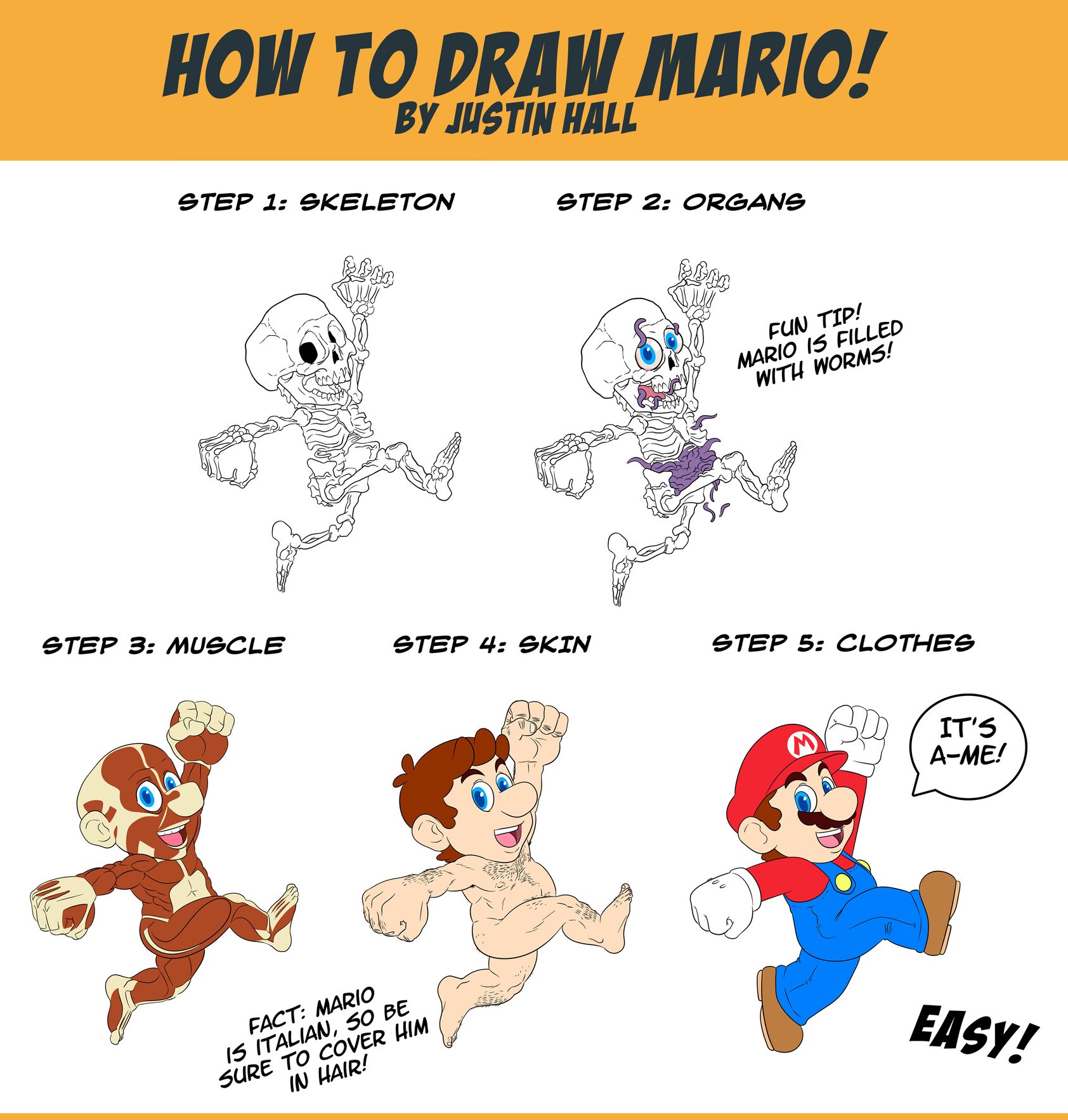 HOW TO DRAW MARIO! BY JUSTIN HALL STEP 1: SKELETON STEP 2: ORGANS FUN TIP! MARIO IS FILLED WITH WORMS! STEP 3: MUSCLE STEP 4: SKIN STEP 5: CLOTHES IT'S A-ME! FACT: MARIO IS ITALIAN, SO BE SURE TO COVER HIM IN HAIR! EASY!