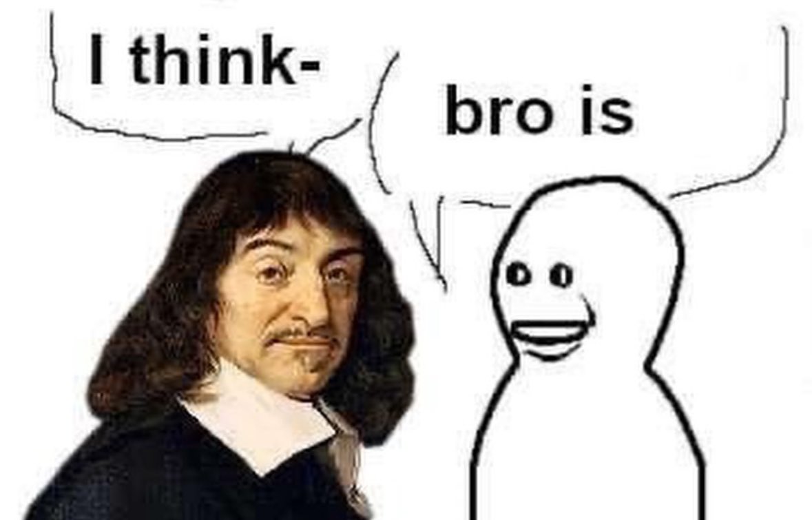 Descartes Bro Visited His Friend / Friendpilled Visitmaxxer Know