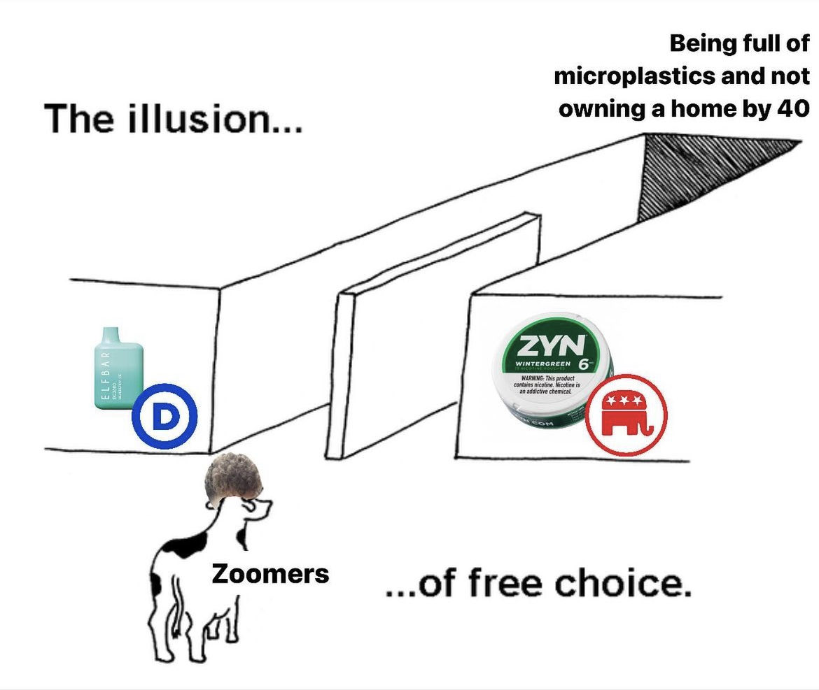 ELFBAR The illusion... Being full of microplastics and not owning a home by 40 D ZYN WINTERGREEN 6 WARNING: This product contains nicotine. Nicotine is an addictive chemical HEOM *** - Zoomers ...of free choice.