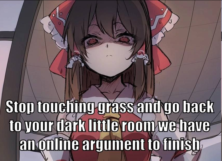 Stop touching grass and go back to your dark little room we have an online argument to finish