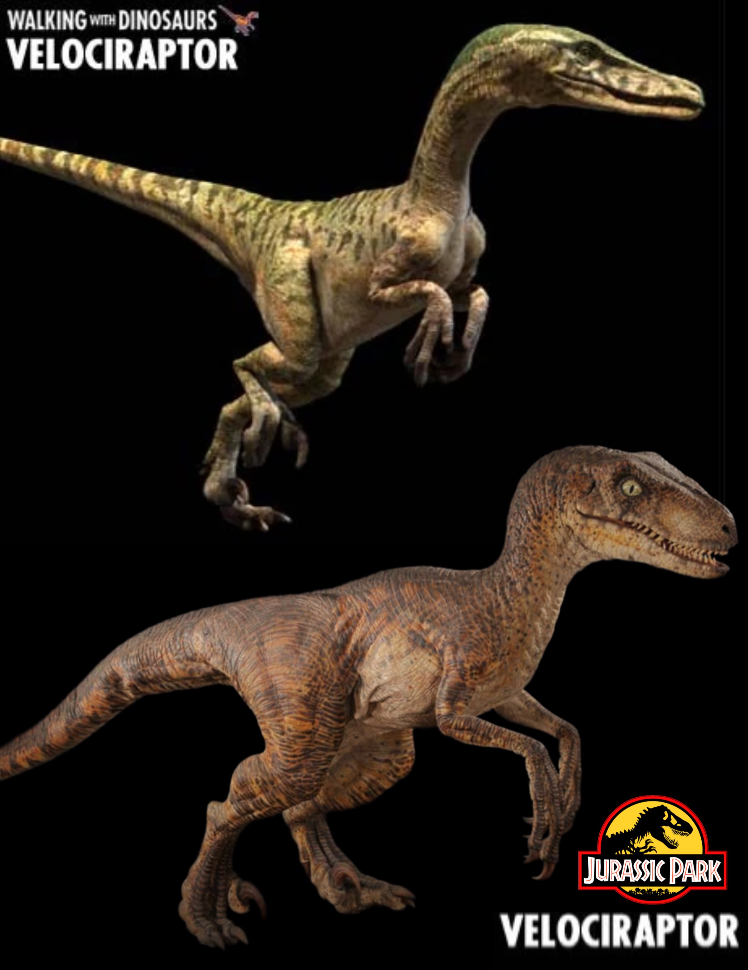 Velociraptor Comparison Jurassic Park Know Your Meme