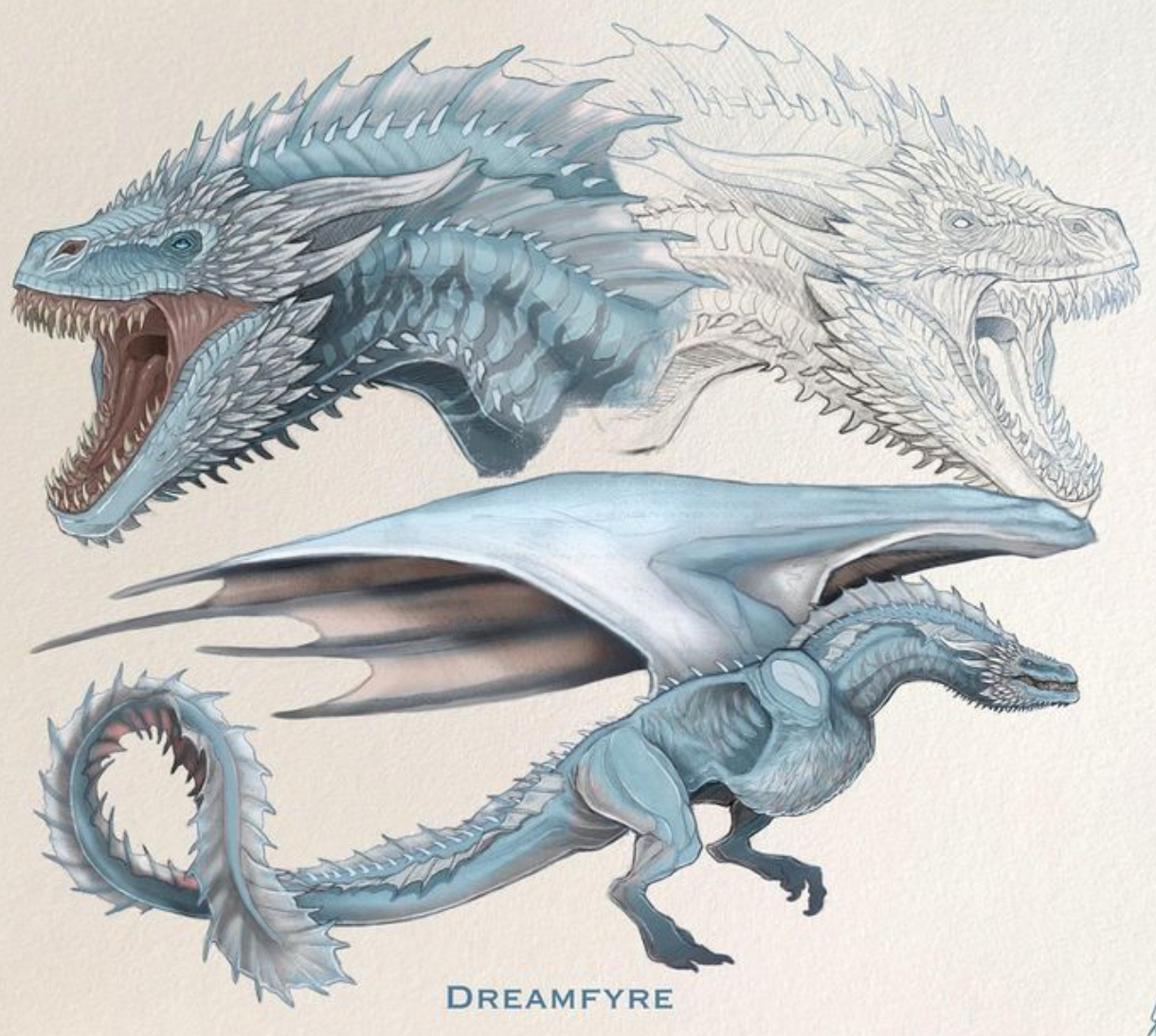 Dreamfyre House Of The Dragon Know Your Meme