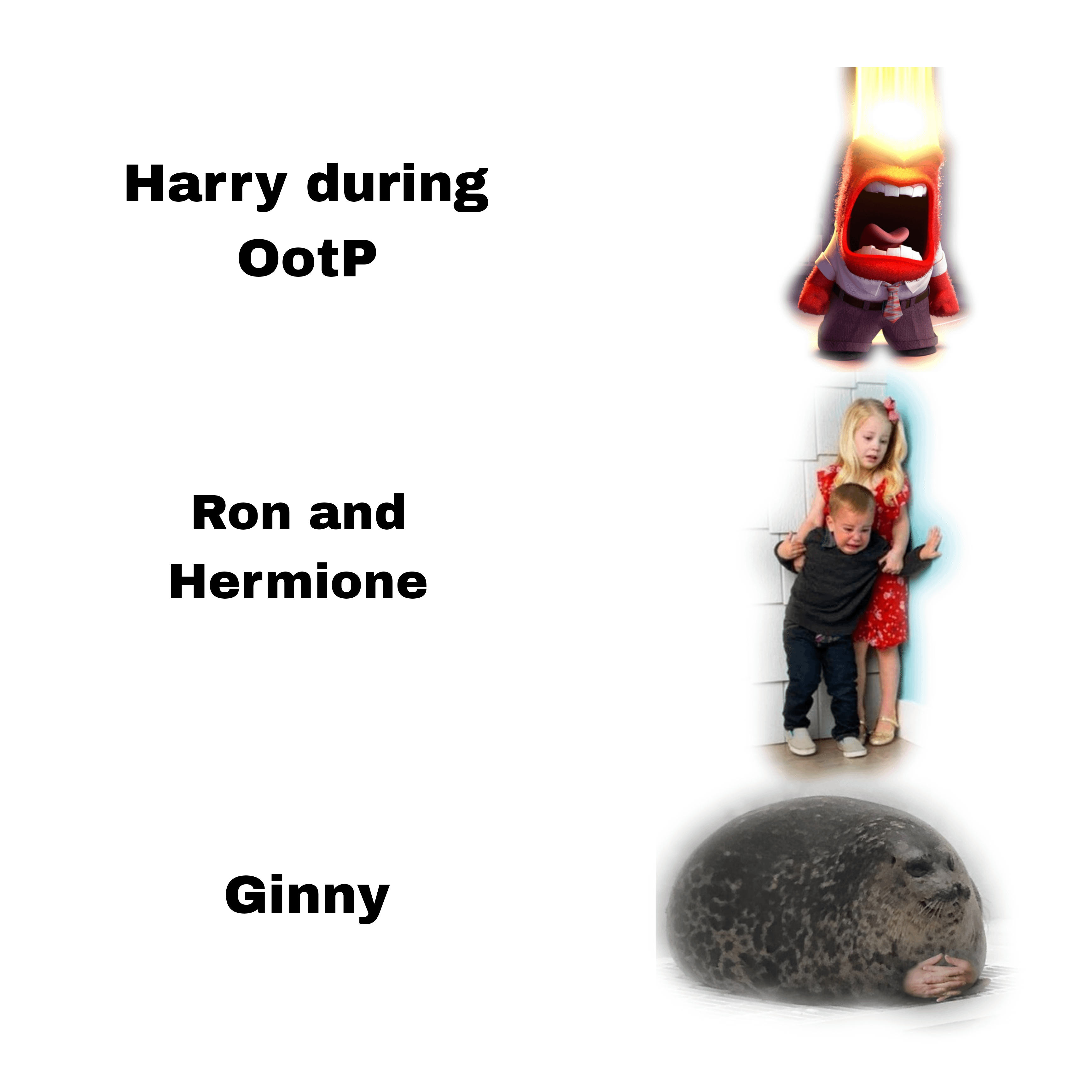 Harry during OotP Ron and Hermione Ginny