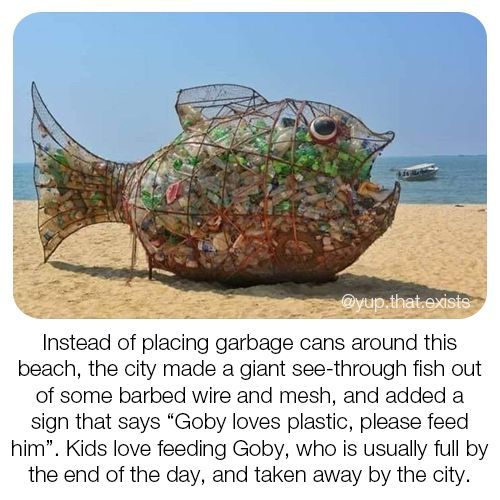 Feed Goby | Know Your Meme
