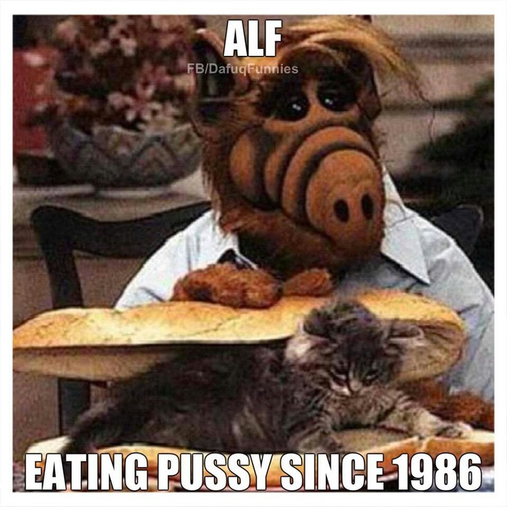 since 1986 | Alf Eating Cats | Know Your Meme