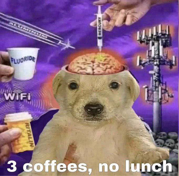 UMINUM FLUORIDE WiFi RITALIN MERCURY 3 coffees, no lunch