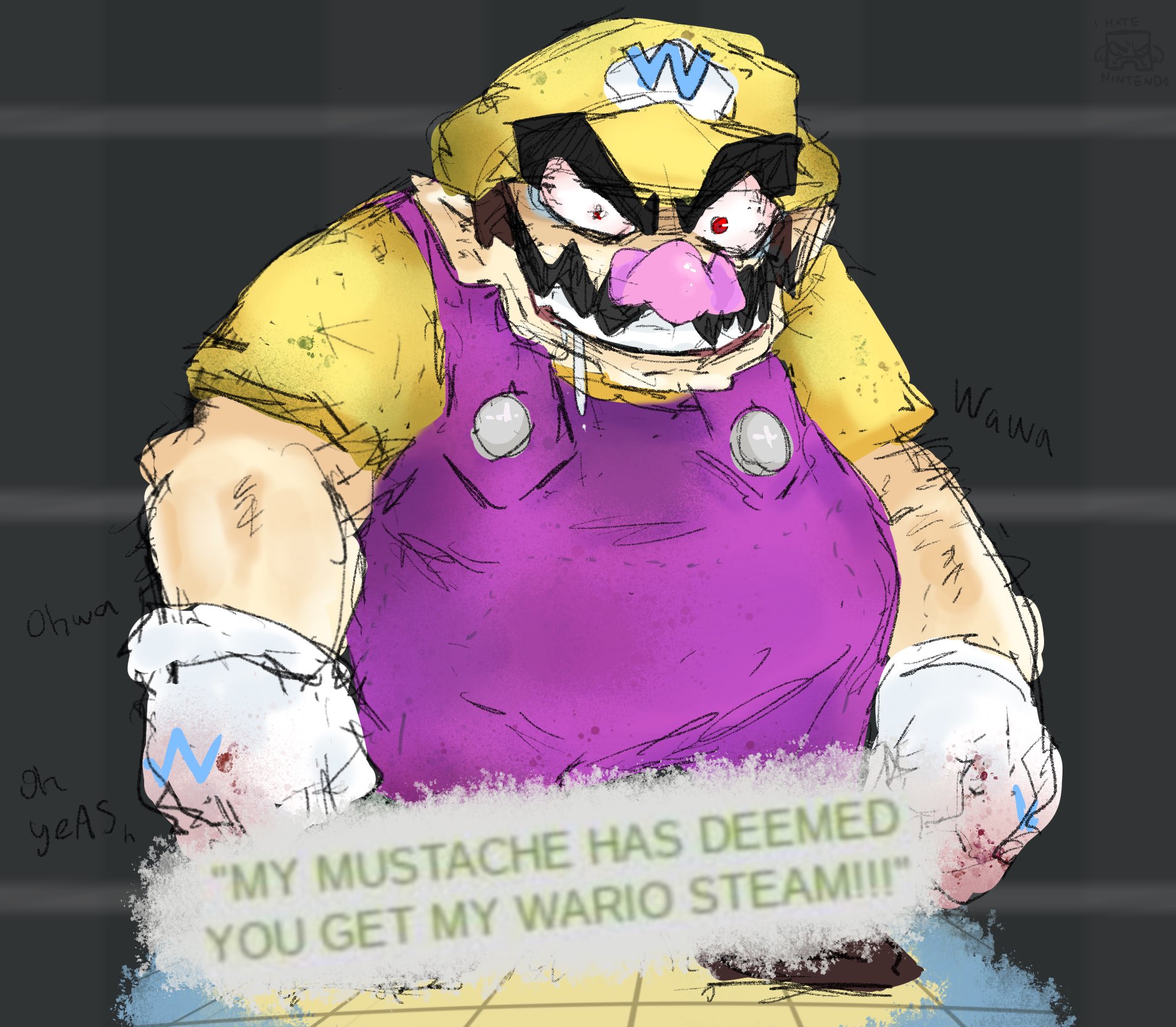 Ohwa YEAS "MY MUSTACHE HAS DEEMED YOU GET MY WARIO STEAM!!!" Wawa I HATE NINTENDO