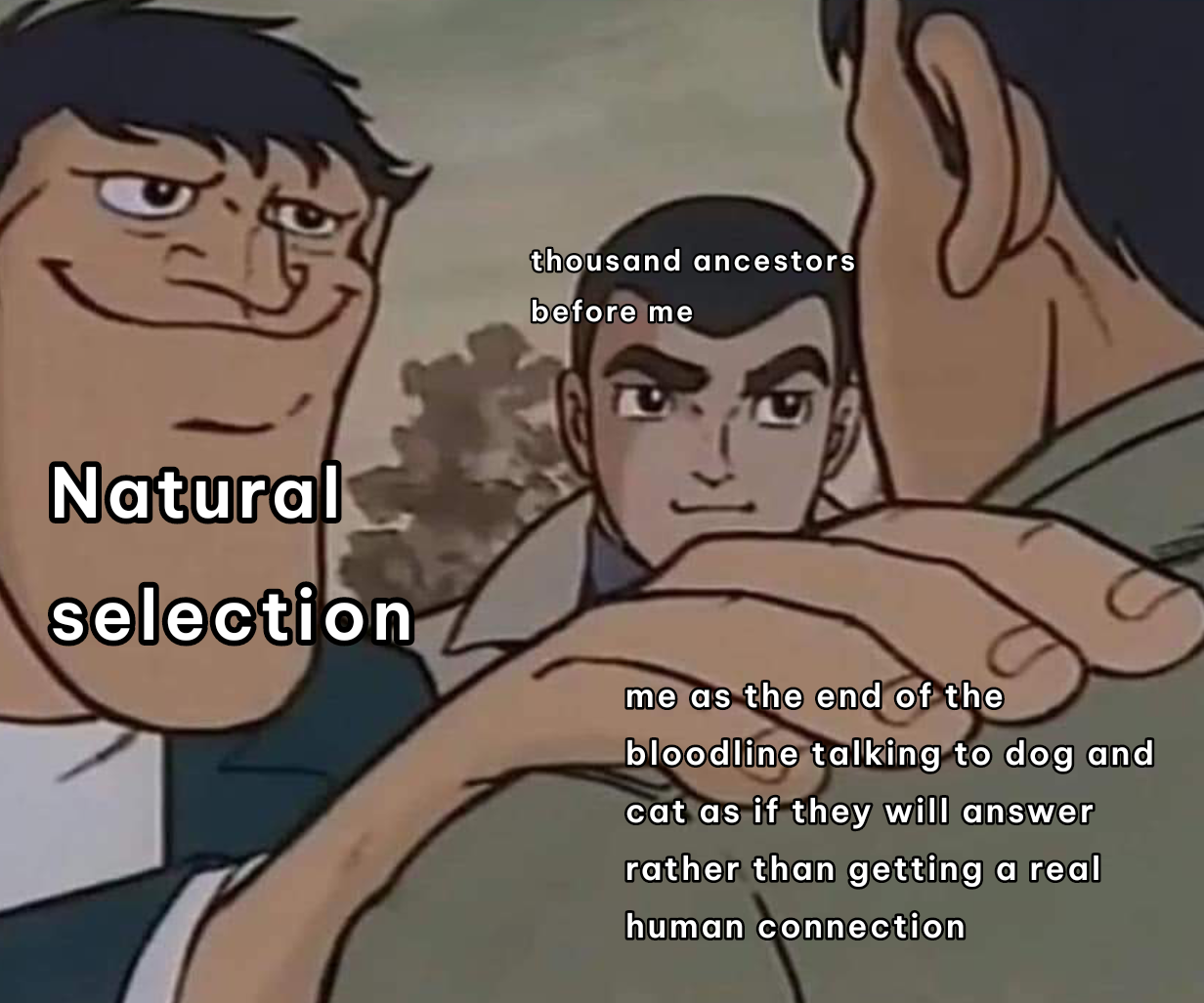 Human Can Get Awkward Sometimes r memes Know Your Meme