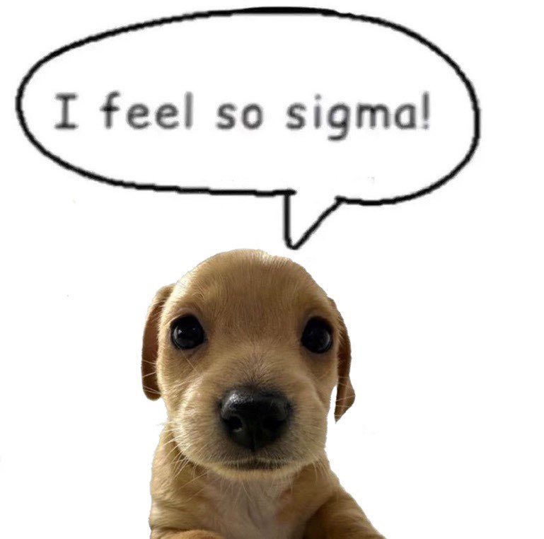 I feel so sigma!