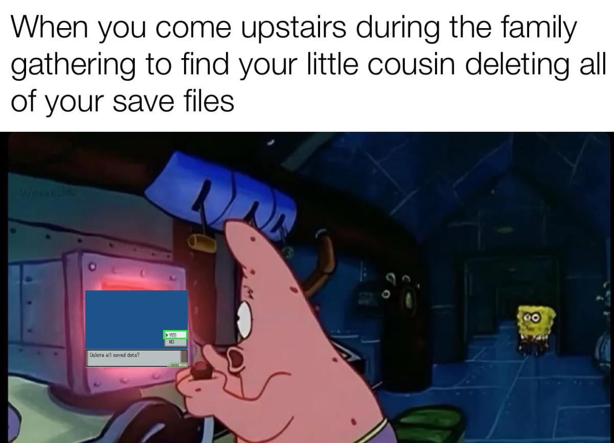 When you come upstairs during the family gathering to find your little cousin deleting all of your save files W/evan_laz Delete all saved data? YES NO