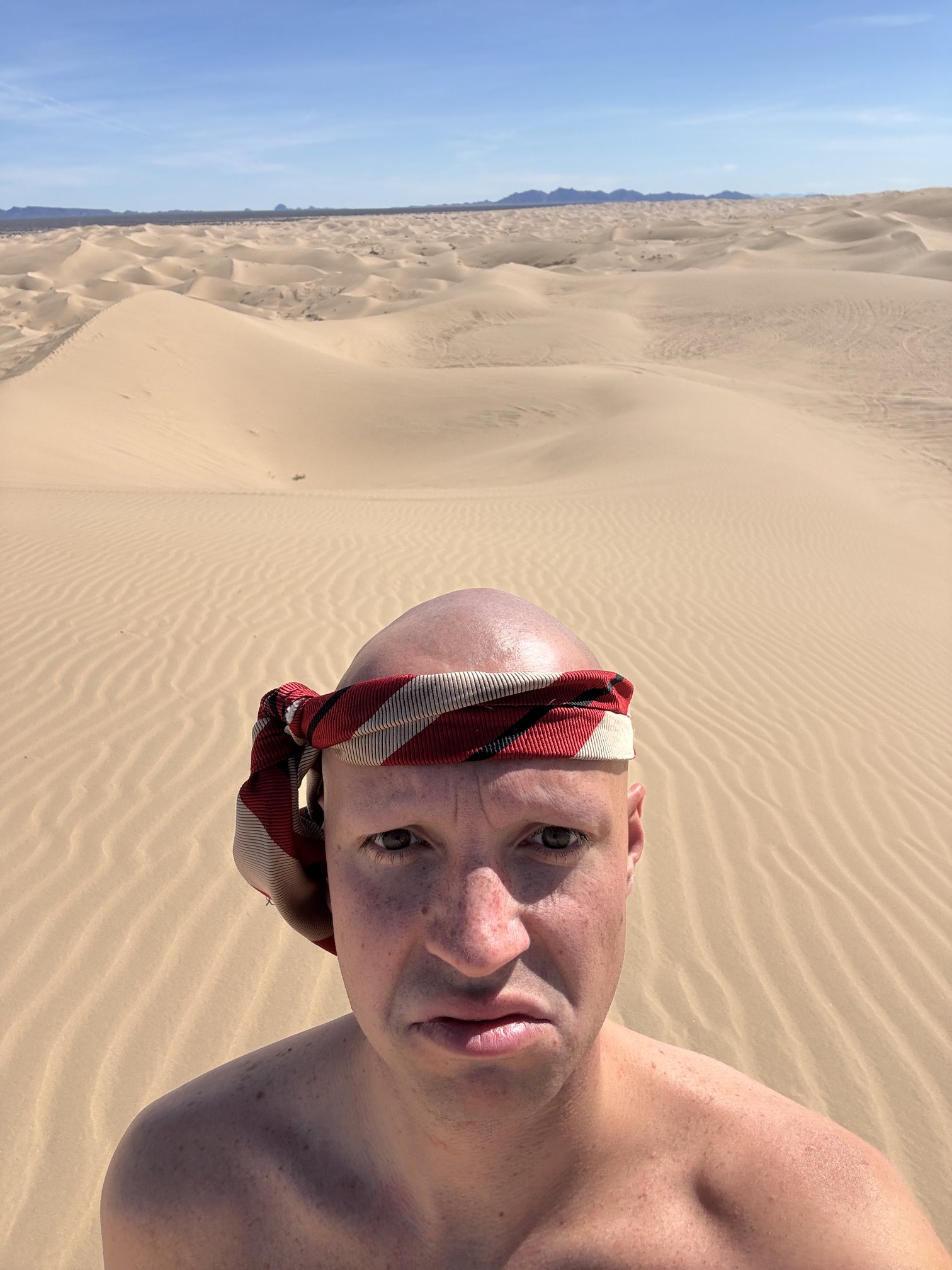 A photograph of comedian Dan Hentschel standing in the middle of a desert, used as source material for edits and redraws.